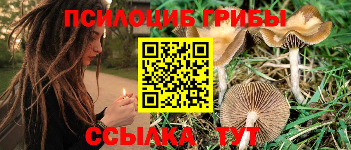 Галлюциногенные грибы MAGIC MUSHROOMS Шадринск